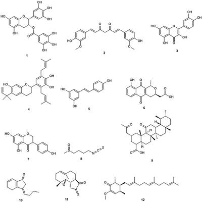 Natural Products Impacting DNA Methyltransferases and Histone Deacetylases